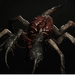 Spider